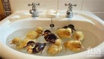 отзывы ispainvillas com