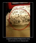 заблокировано slotico
