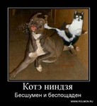 необходимый персонал для казино