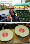 казино онлайн играть сейчас