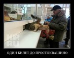 слоты поворотные