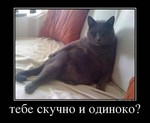 как попасть в казино в таба