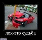 поиск где купить столы спортивного покера