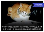 казино невада днепропетровск директор ткач