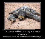 поэтому за казино гранд быстро закрепился