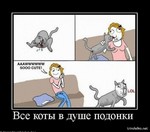 игровые автоматы фараон хургада