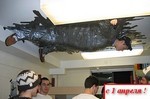 карточные игры казино блэкджек баккара покер