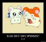 взлом покер майл