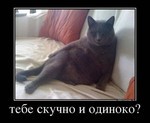 кто играл в казино домина