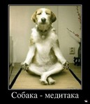 азартные игры яндекс деньги