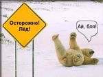 солитер казино флеш игры