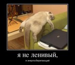 рулетка игра на wmr md5