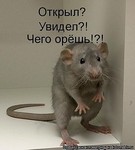 карты pokerstars тамбов