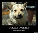 казино sol проверка дзыба